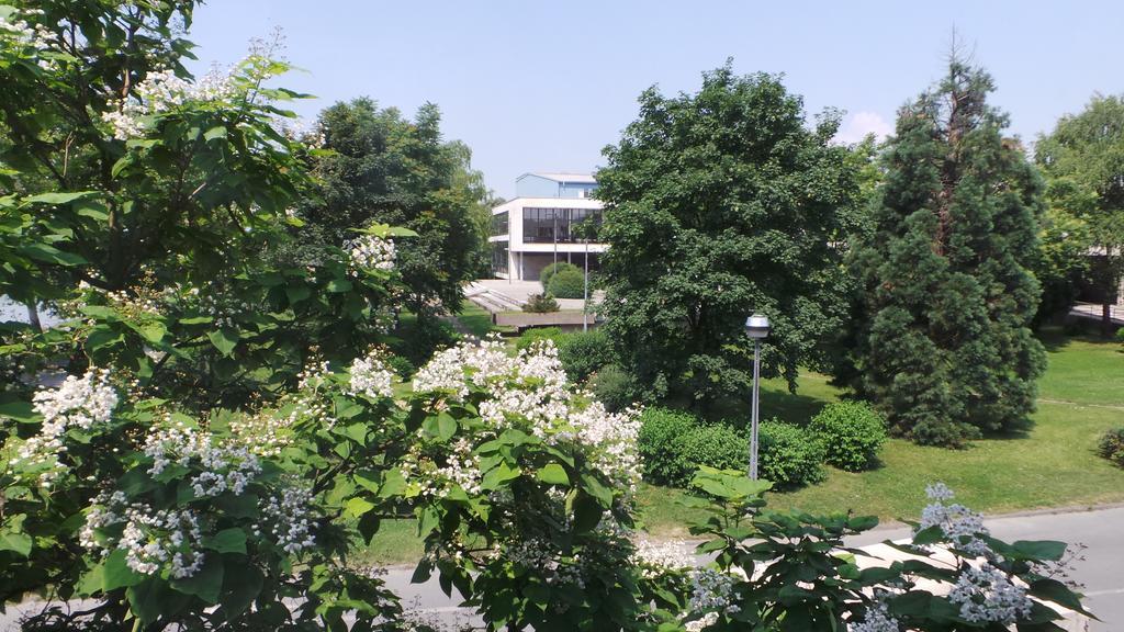 Hostel Levicki Bród Szoba fotó