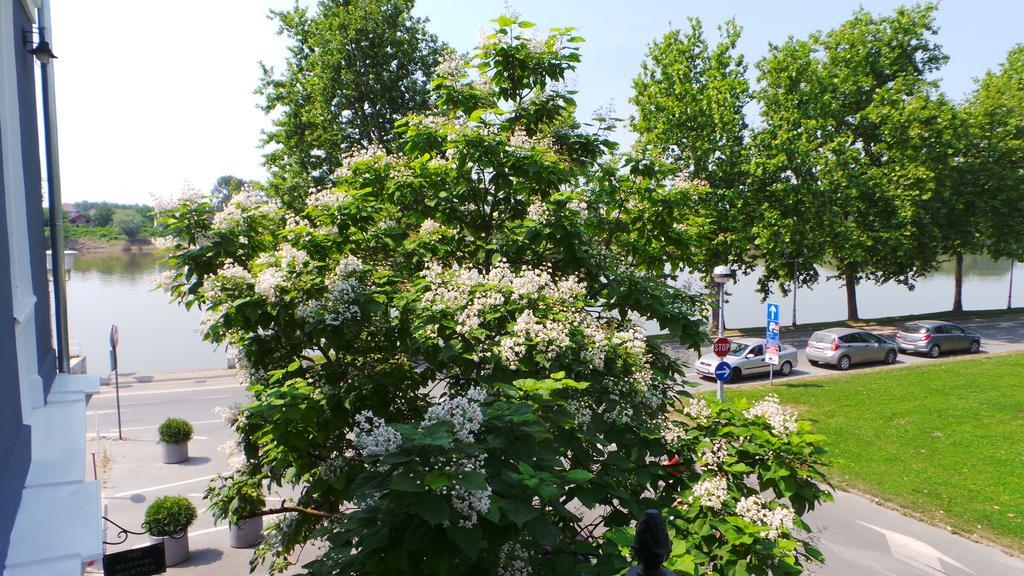 Hostel Levicki Bród Szoba fotó